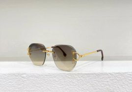 Picture of Cartier Sunglasses _SKUfw55246206fw